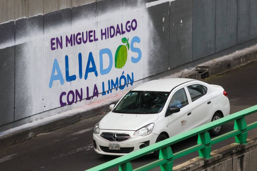 Acusan a alcaldesa de Álvaro Obregón de presunto desvío de recursos para promoción personalizada