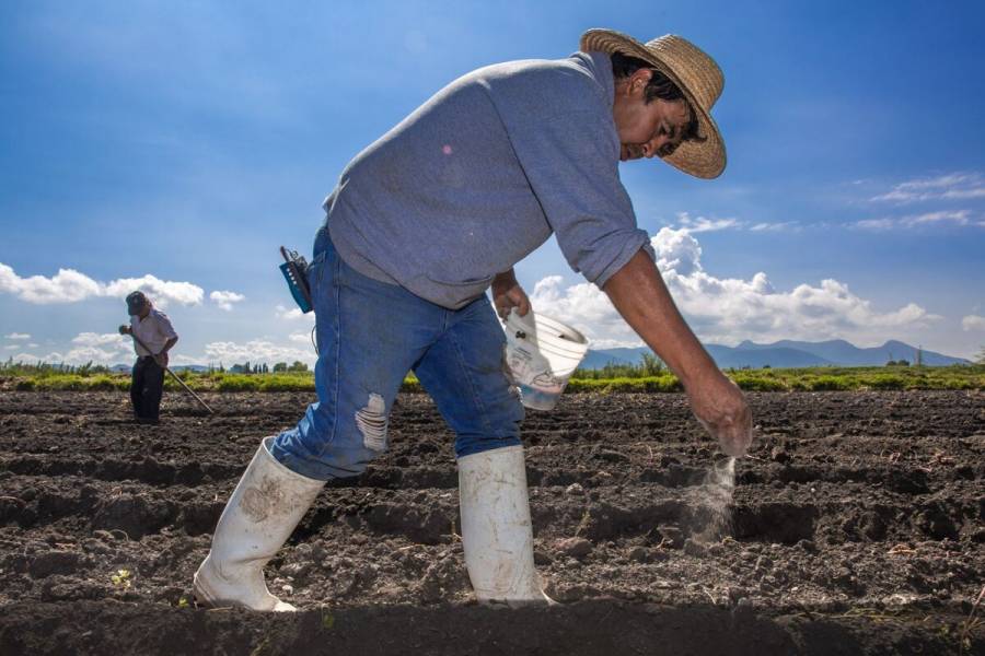 Resaltan aportación de pueblos indígenas en desarrollo agrícola y seguridad alimentaria
