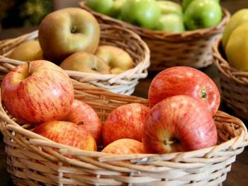 Invitan a la Gran Feria de la Manzana en Zacatl&aacute;n, Puebla