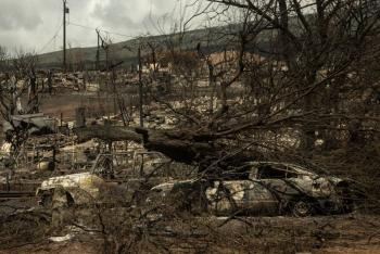 Cifra de muertes en incendio de Hawái supera las 100 y podría 