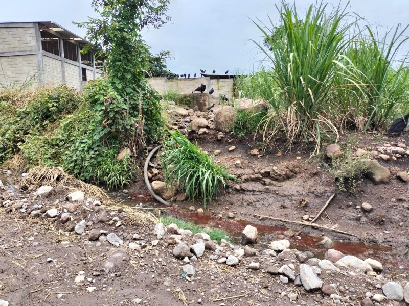 Habitantes de Paso del Macho en Veracruz denunciaron contaminaci&oacute;n por Rastro Municipal