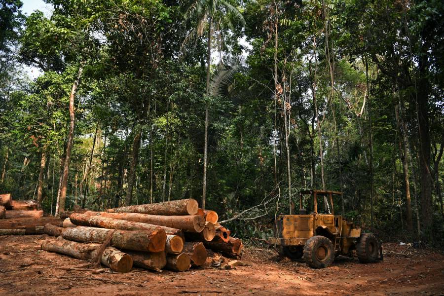 Emisiones de CO2 de la selva amazónica se dispararon durante gobierno de Bolsonaro