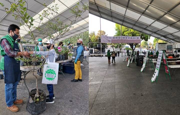 Mercado de Trueque CDMX: una oportunidad para reciclar y cuidar el medio ambiente