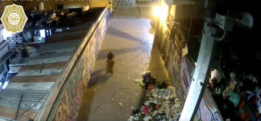 Difunden video sobre abandono de cadáver en un tambo en la colonia Guerrero