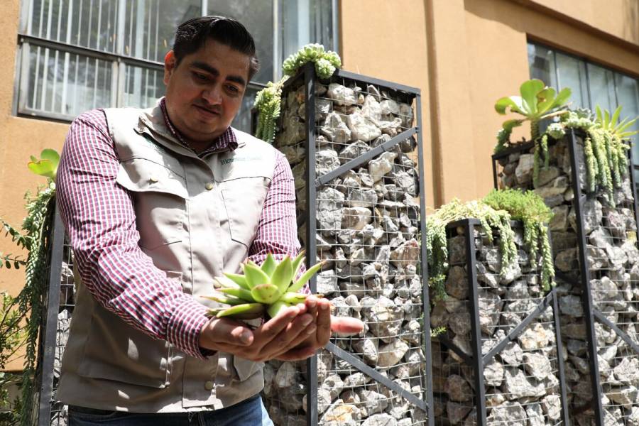 Ofrece IMSS cursos para rehabilitar espacios con la instalaci&oacute;n de huertos, muros y azoteas verdes