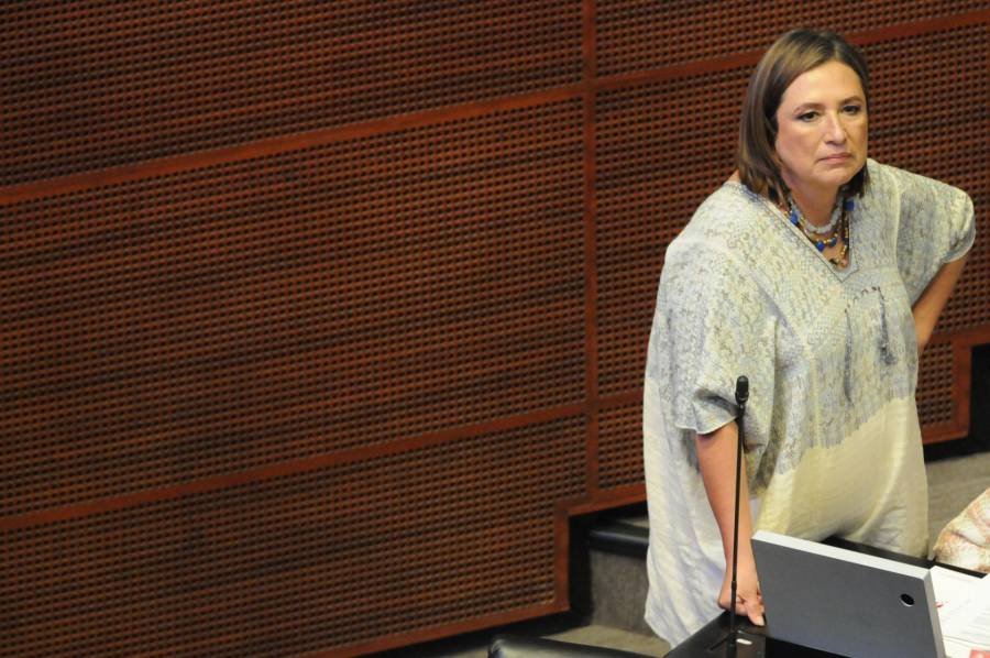 Xóchitl Gálvez pedirá licencia al Senado en noviembre
