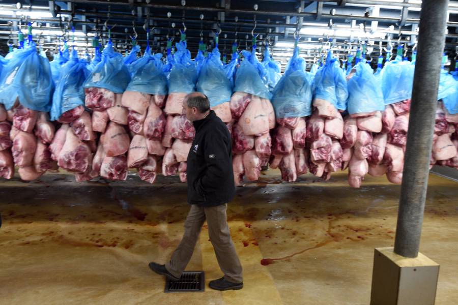 Varios países suspenden importación de carne de cerdo de Suecia por peste porcina