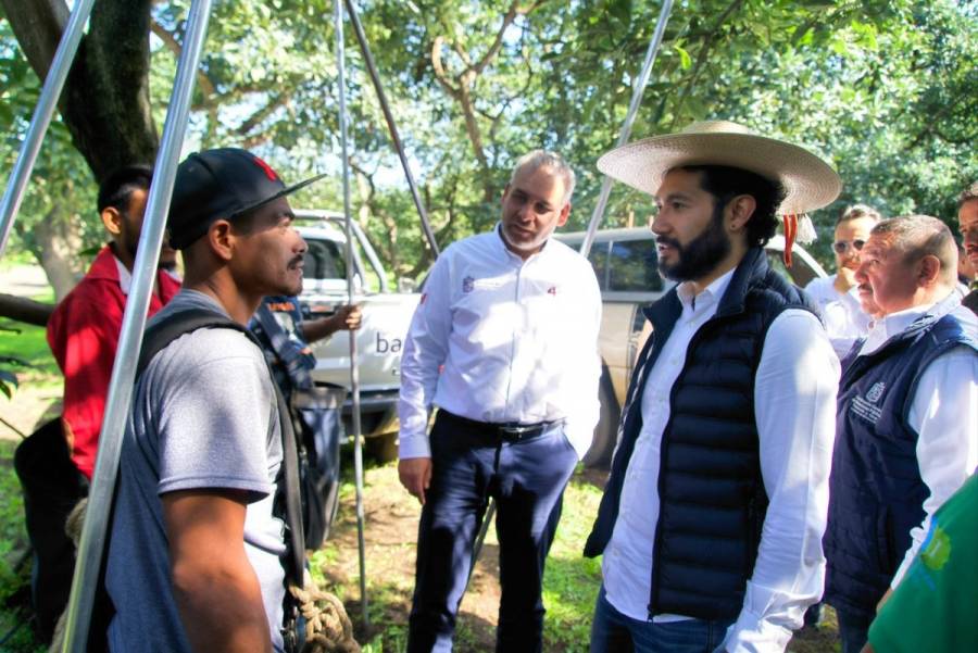 STPS y Michoacán refuerzan acciones con aguacateros para la formalización laboral