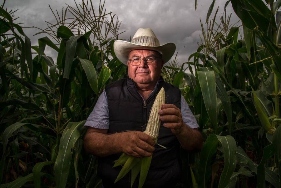 Analizarán en Congreso Interamericano alternativas en favor de la seguridad alimentaria