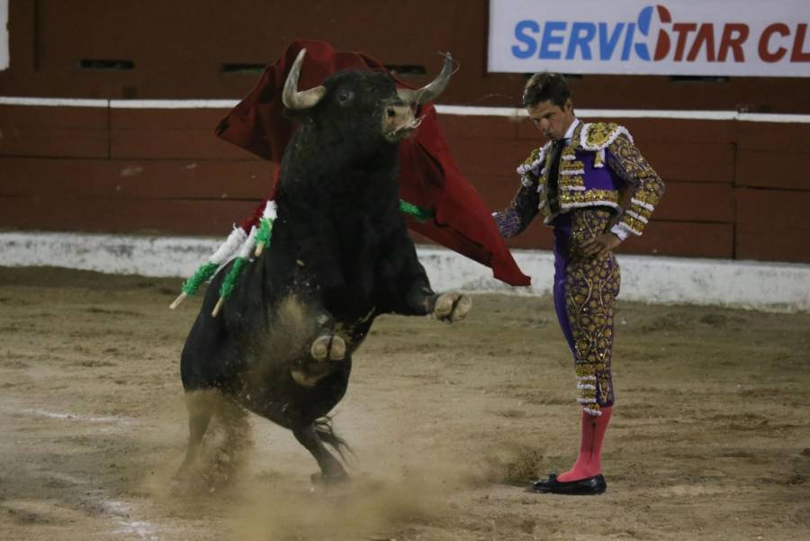 Definirá SCJN corridas de toros en la Plaza México