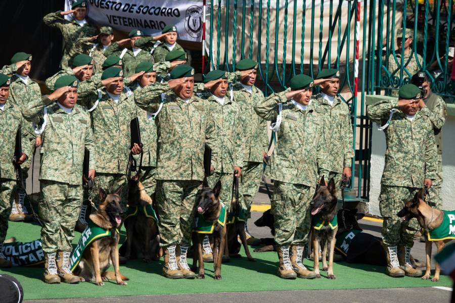 Miembros del Ejercito Mexicano llegan a Monterrey como apoyo ante la creciente ola de inseguridad