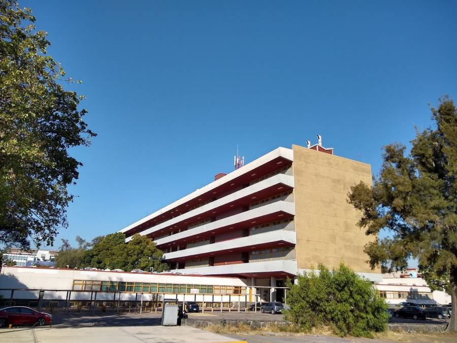 UNAM descarta plaga de chinches en la Facultad de Química, pero fumigarán instalaciones