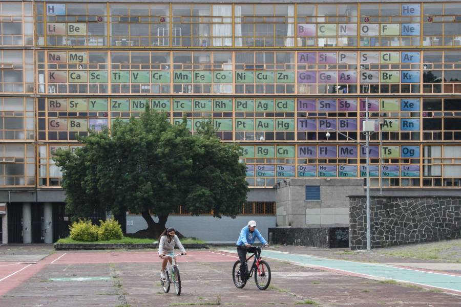 Adelanta UNAM fumigación por presuntas chinches; suspenden clases en la Facultad de Química