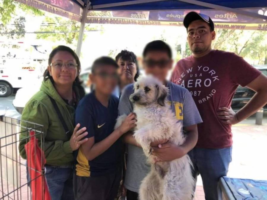 Fiscalía General de Justicia del Edomex detuvo al presunto agresor del perrito “Pelusa” 