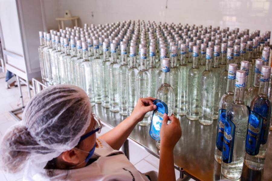 Promueve Agricultura marcas colectivas para productos agropecuarios