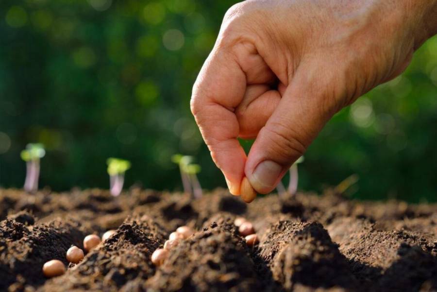 Modelos alimentarios clave para la sostenibilidad: Daniel Madariaga Barrilado