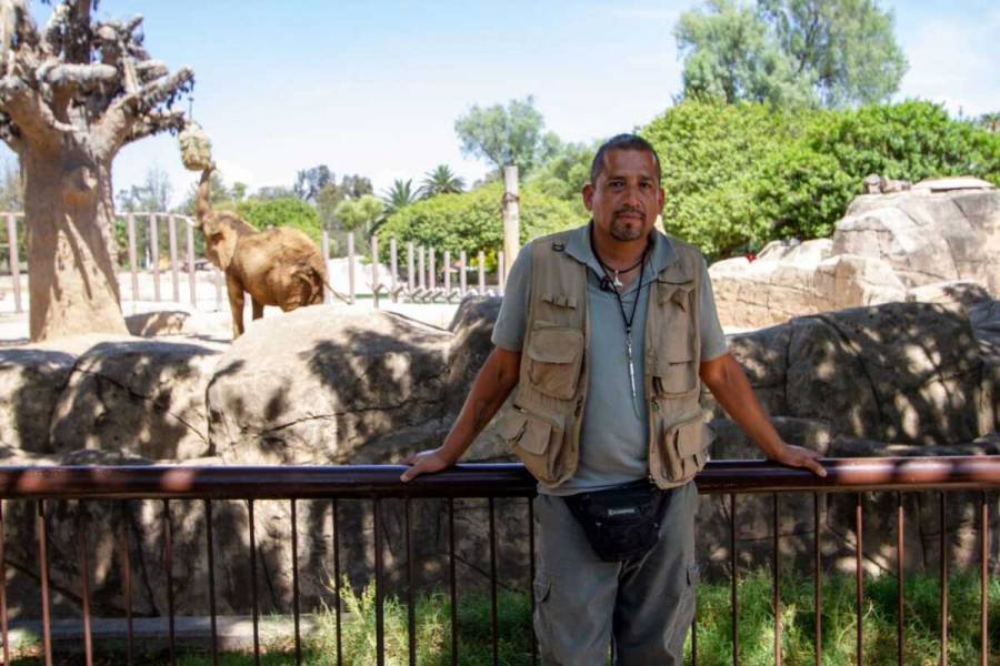 Enaltece Sedema labor y dedicación de más de 150 auxiliares de zootecnistas