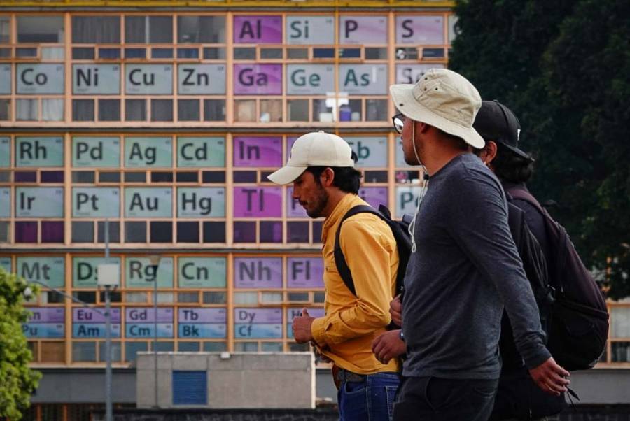 UNAM encuentra una chinche en sus instalaciones, pero descarta plaga