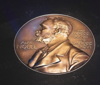 Qu&eacute; tem&aacute;ticas involucraron los Premios Nobel de la Paz de la d&eacute;cada reciente