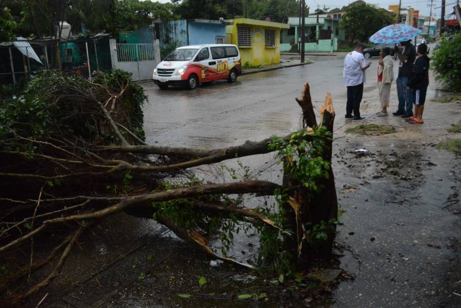 Inundaciones y tragedia en el sur de Veracruz debido al frente frío