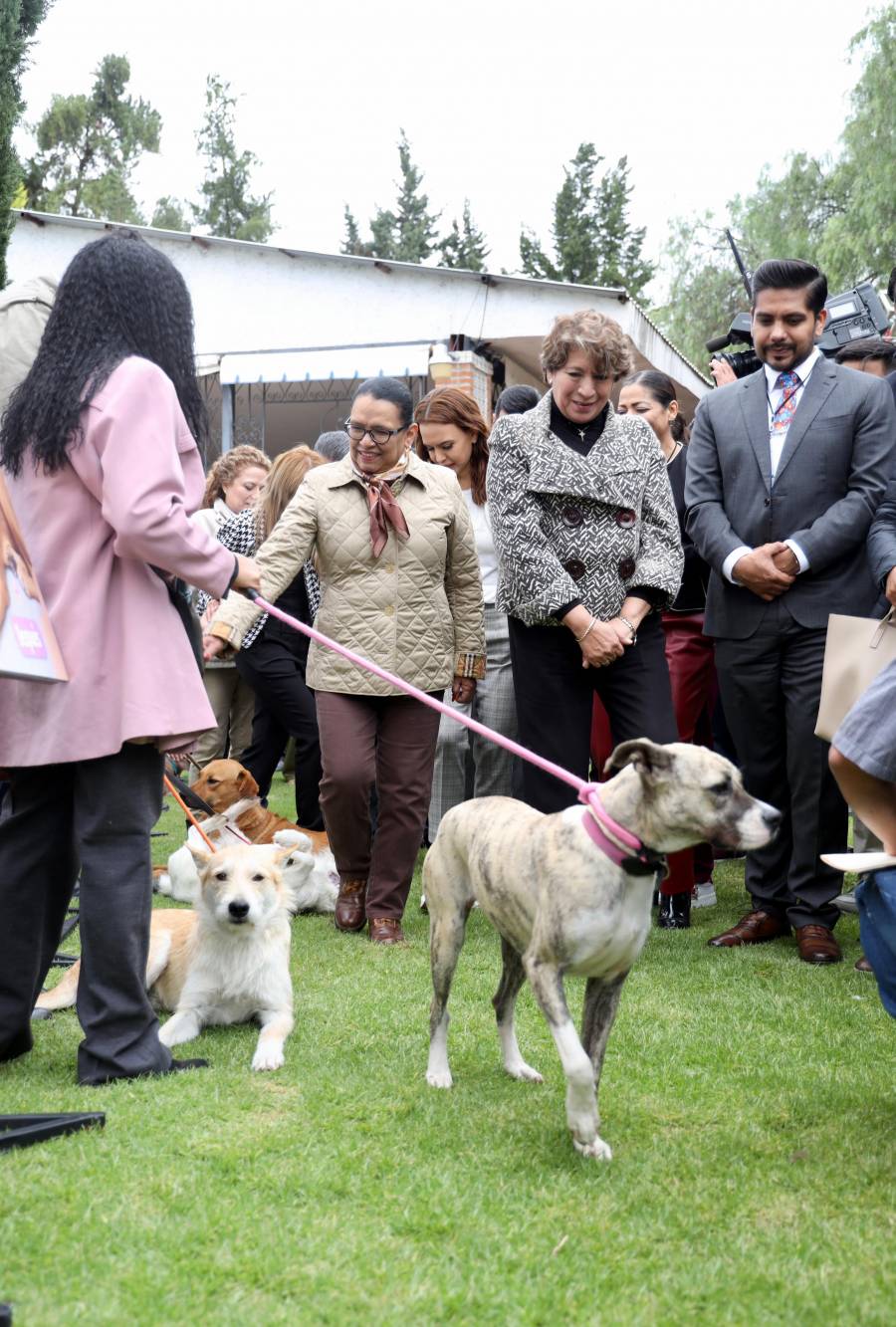 Firma SSPC y Gobierno del Edomex decálogo de acciones para la atención del maltrato animal