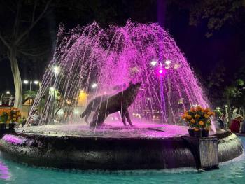 Coyoacán se ilumina de rosa en el Día Internacional de la Lucha Contra el Cáncer de Mama