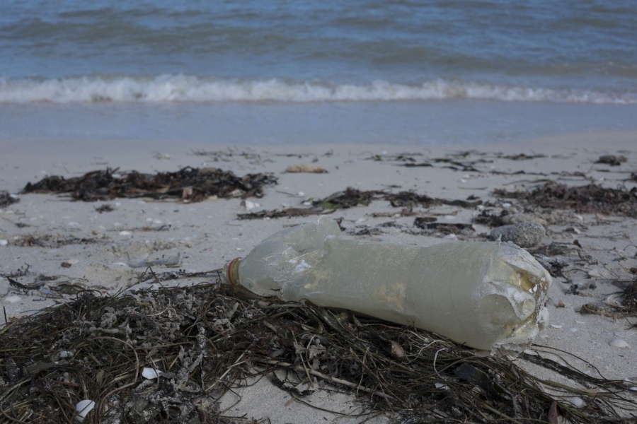 Plásticos biodegradables son perjudiciales para los peces