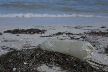 Pl&aacute;sticos biodegradables son perjudiciales para los peces
