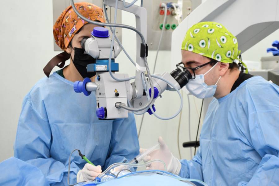 IMSS logra 3.8 millones de atenciones con Jornadas Extraordinarias de Continuidad