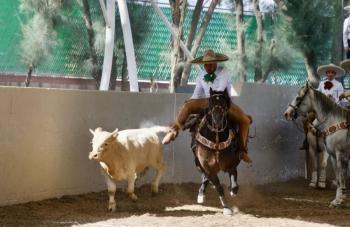 Campeonato Nacional Charro en SLP, una oportunidad para el turismo y la econom&iacute;a local