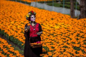 Verde en Casa: Cultivando tradiciones mexicanas