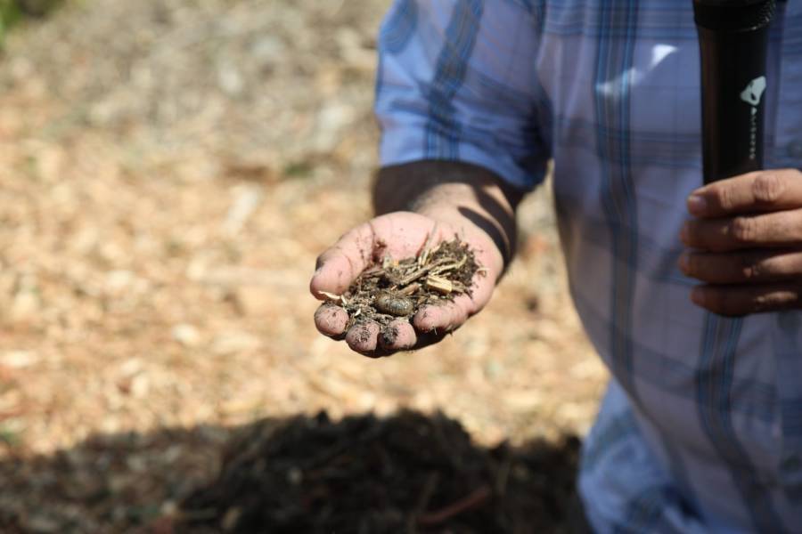 Reconocen expertos en microbiología y fertilidad de suelos transformación del Bosque de Chapultepec