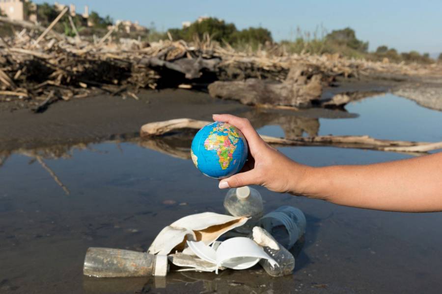 ICM busca realizar acciones en pro del medio ambiente