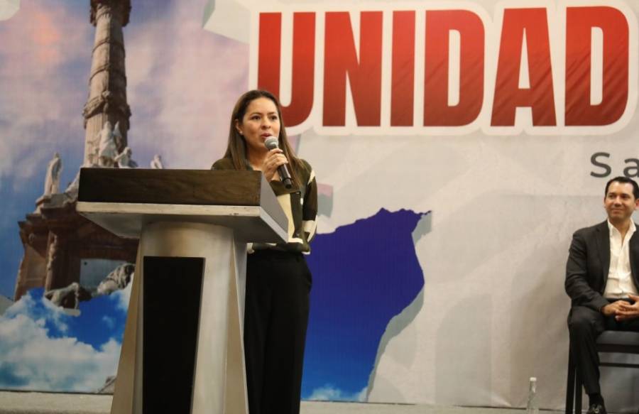 En pr&oacute;ximas fechas se definir&aacute;n alianzas del PVEM en SLP: Karen Castrej&oacute;n
