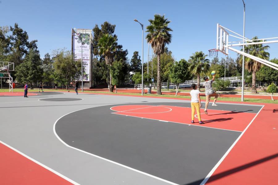 Gobierno anuncia sistema de videovigilancia en parques estatales