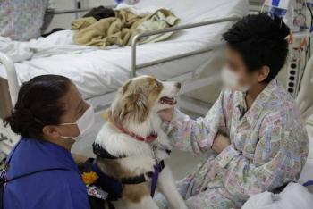 Apoyan perritos en intervenciones terapéuticas en el Hospital Pediátrico Coyoacán