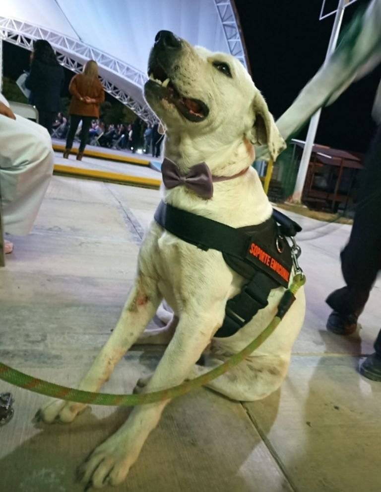 FGE investiga asesinato de 