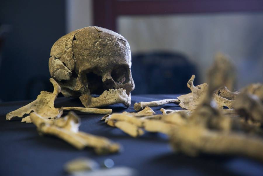 INAH restaurará cráneo de 700 años de antiguedad