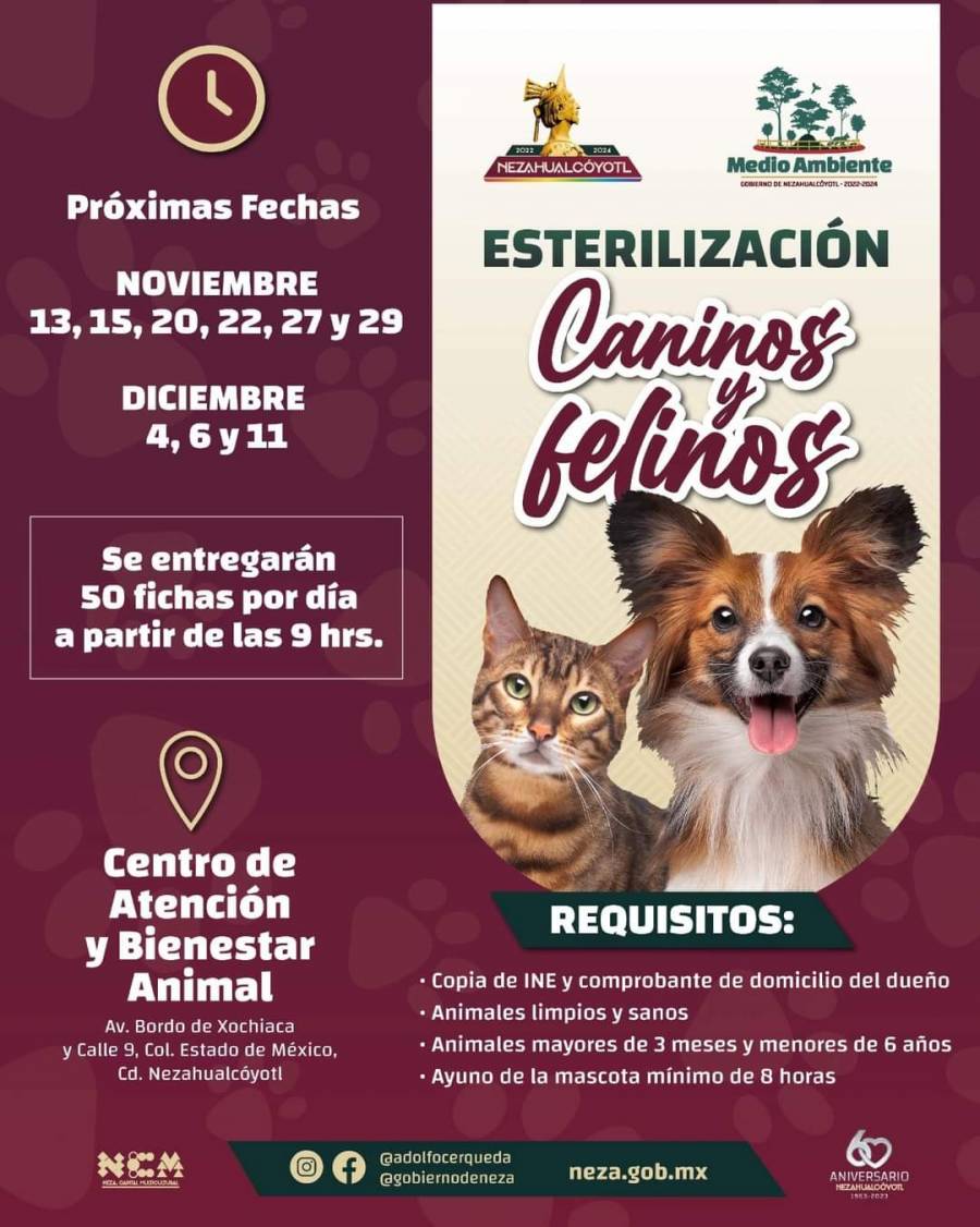 Habrá jornadas de esterilización canina y felina en Neza durante dos meses