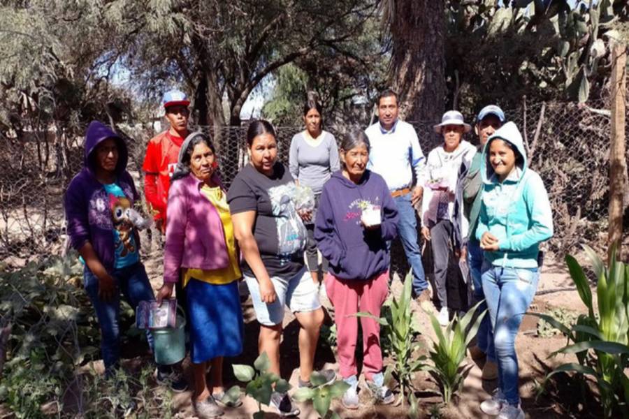 Impulsa Agricultura huertos biointensivos para familias del centro de M&eacute;xico