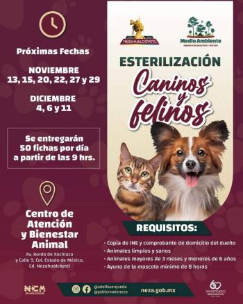 Habr&aacute; jornadas de esterilizaci&oacute;n canina y felina en Neza durante dos meses