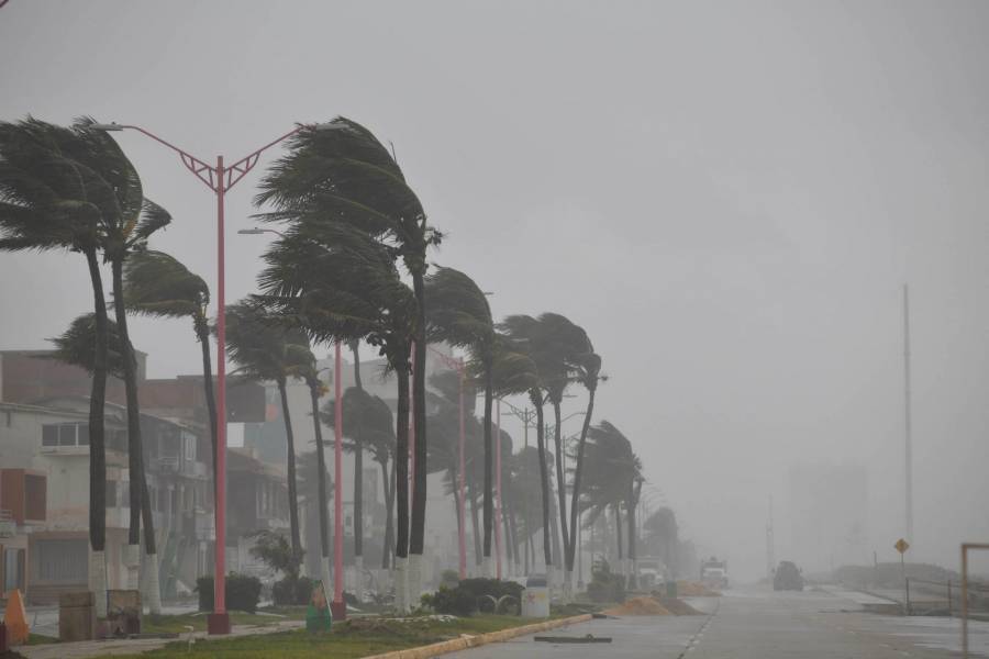 Condiciones meteorológicas: Frente frío, lluvias y evento de 'Norte'
