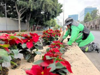 GobCDMX adornará avenidas principales con 220 mil nochebuenas