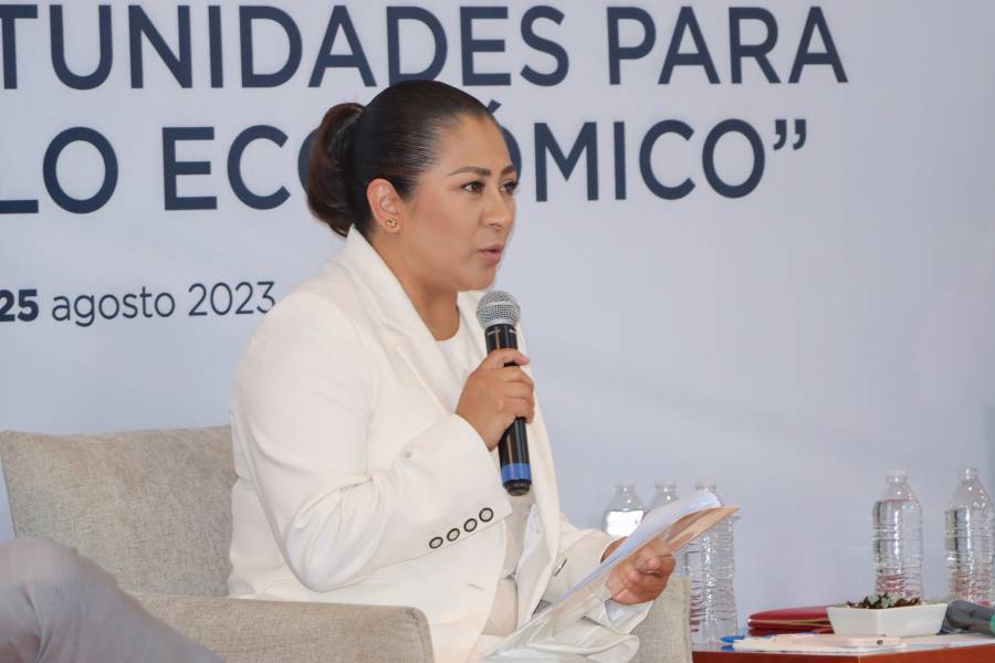 Nadia Navarro buscará la gubernatura con PSI