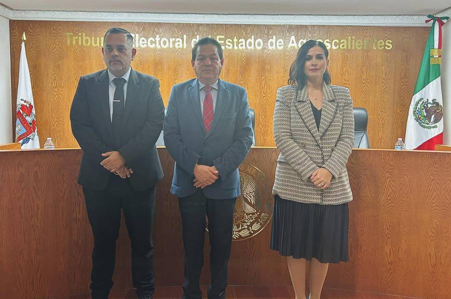 Designa Tribunal Electoral sustituto de magistrade