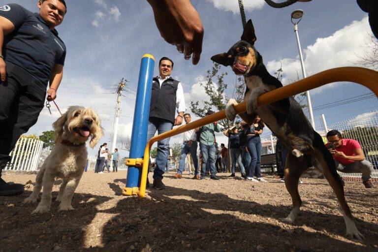 Ya hay nuevo Parque Canino en avenida del Parque