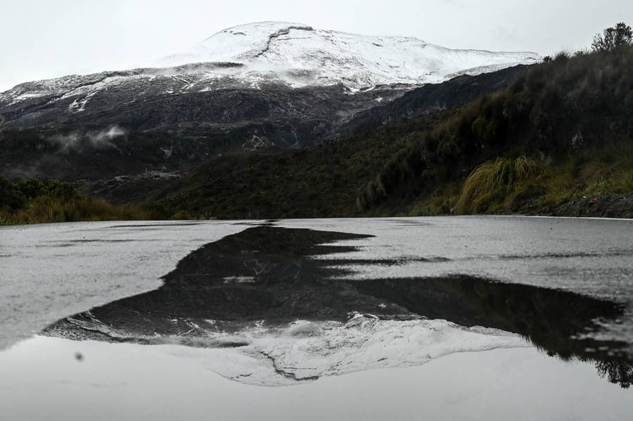 Colombia ha perdido más de la mitad de sus glaciares, alerta ONG