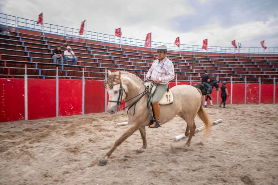 Puedes ver las mejores razas ecuestes del mundo gratis en la Feria de Querétaro