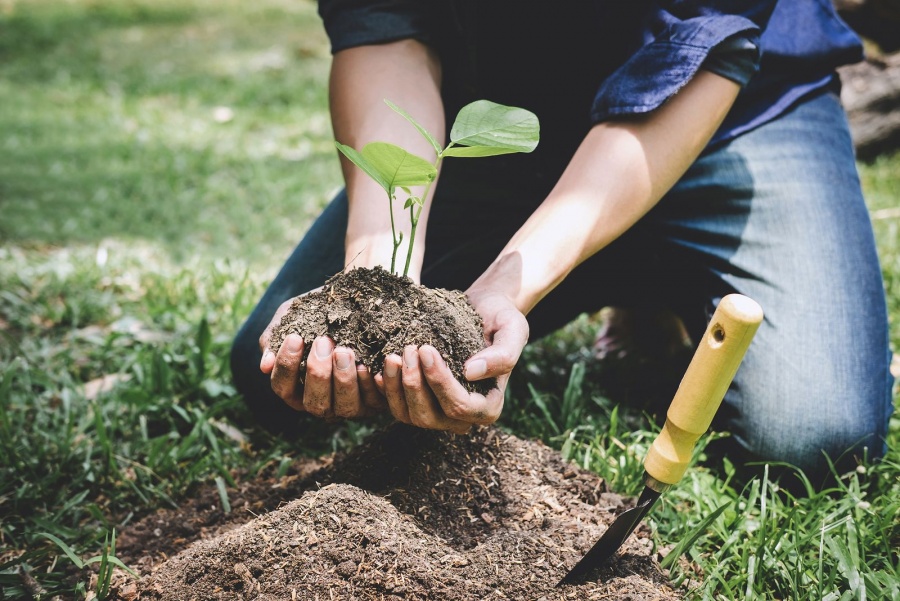 Conservar los suelos es esencial para los ecosistemas y el bienestar social