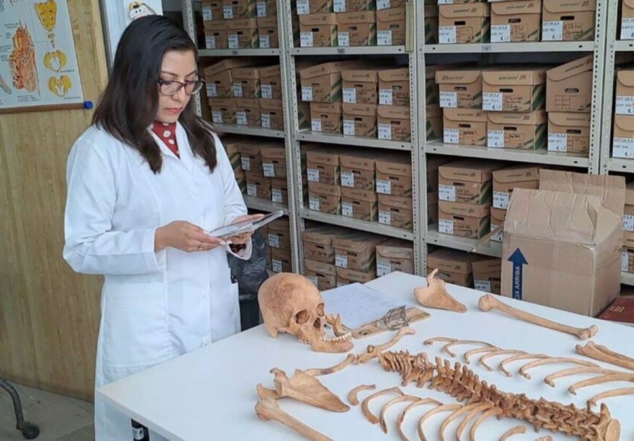 Universitario desarrolla app que mejora el trabajo de forenses